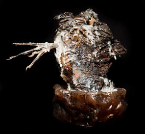 Tomas Ronse. Valentine 2 (2012)