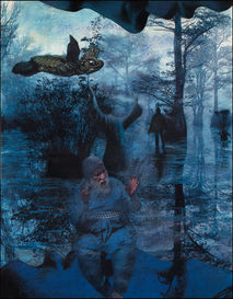 Tomas Ronse. Swamp Dream (1994)