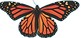 Butterfly image-April socials_edited.png