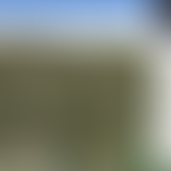 The forest event list on the CarbonCrop polygon detail panel showing multiple planting and clearance events across rotations.