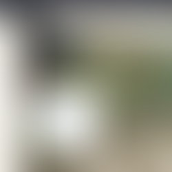 Pinned and site level comments 