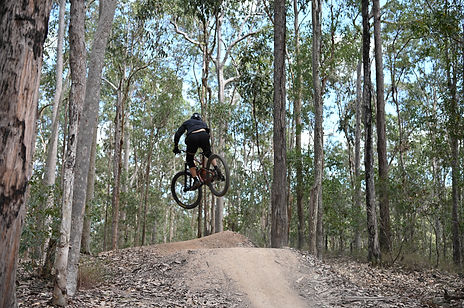 mountain bike eco therapy