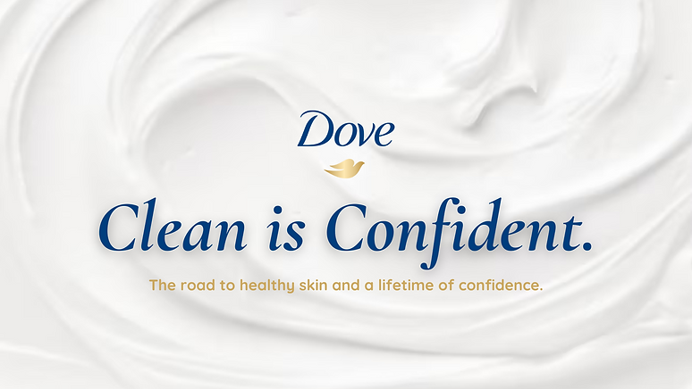 Dove Plans Book