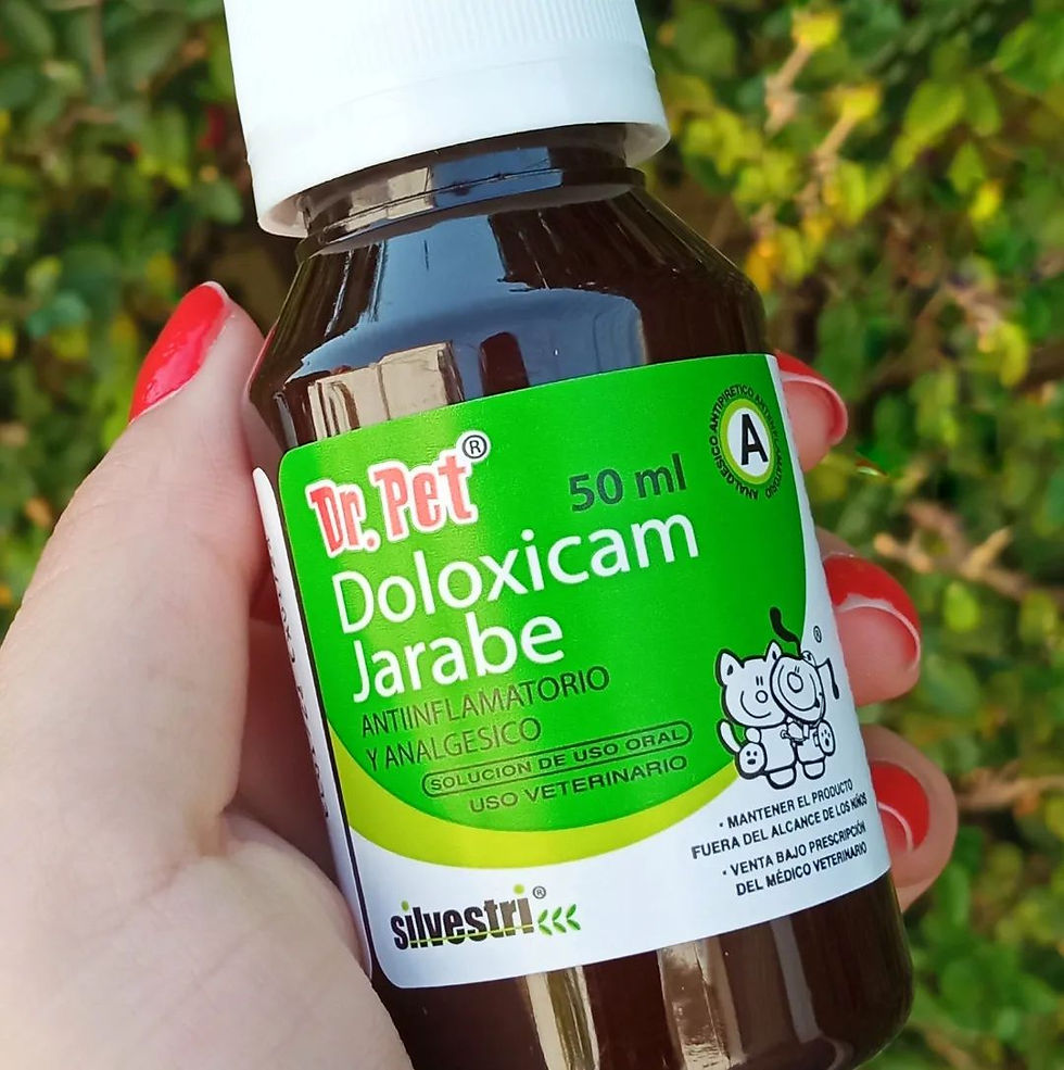 Miniatura: Linea Dr Pet