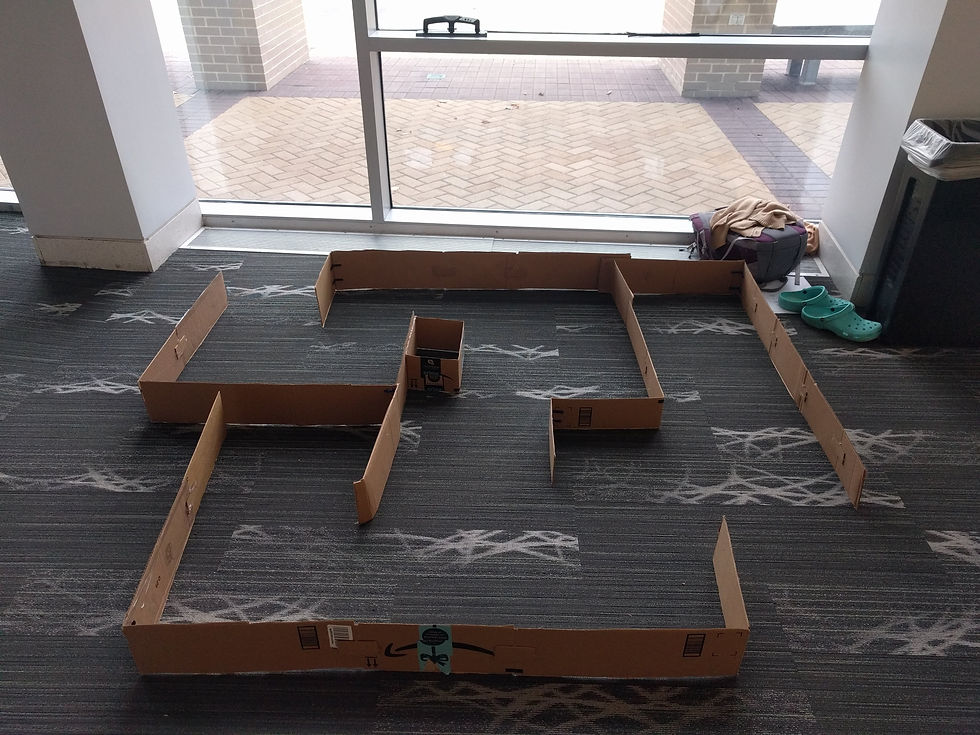 Cardboard Maze