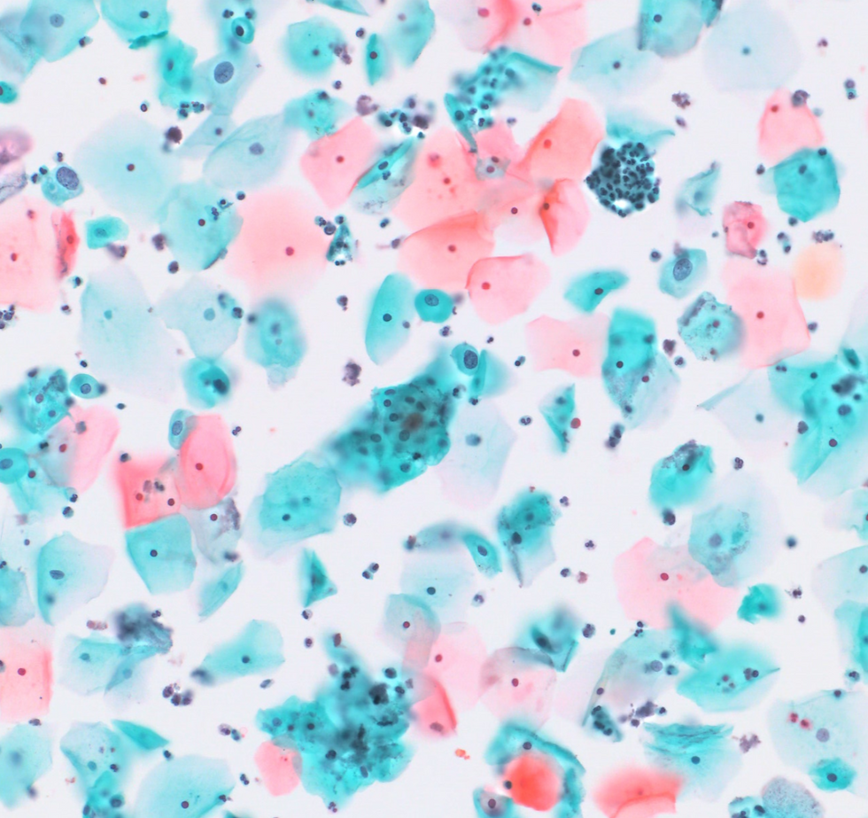 スクリーンショット 2025-11-14 114413.png