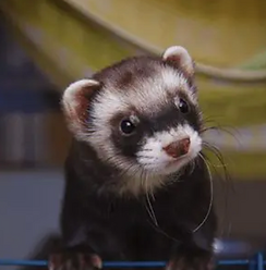 Screenshot 2025-10-02 at 6.22.54 PM.png