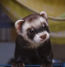 Screenshot 2025-10-02 at 6.22.54 PM.png