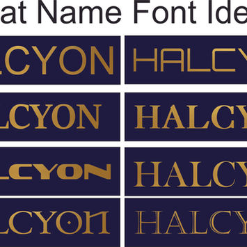 Boat name, Boat wrapping, Yatch wrapping, boat stripes, waterline stripes, SSR numbers 