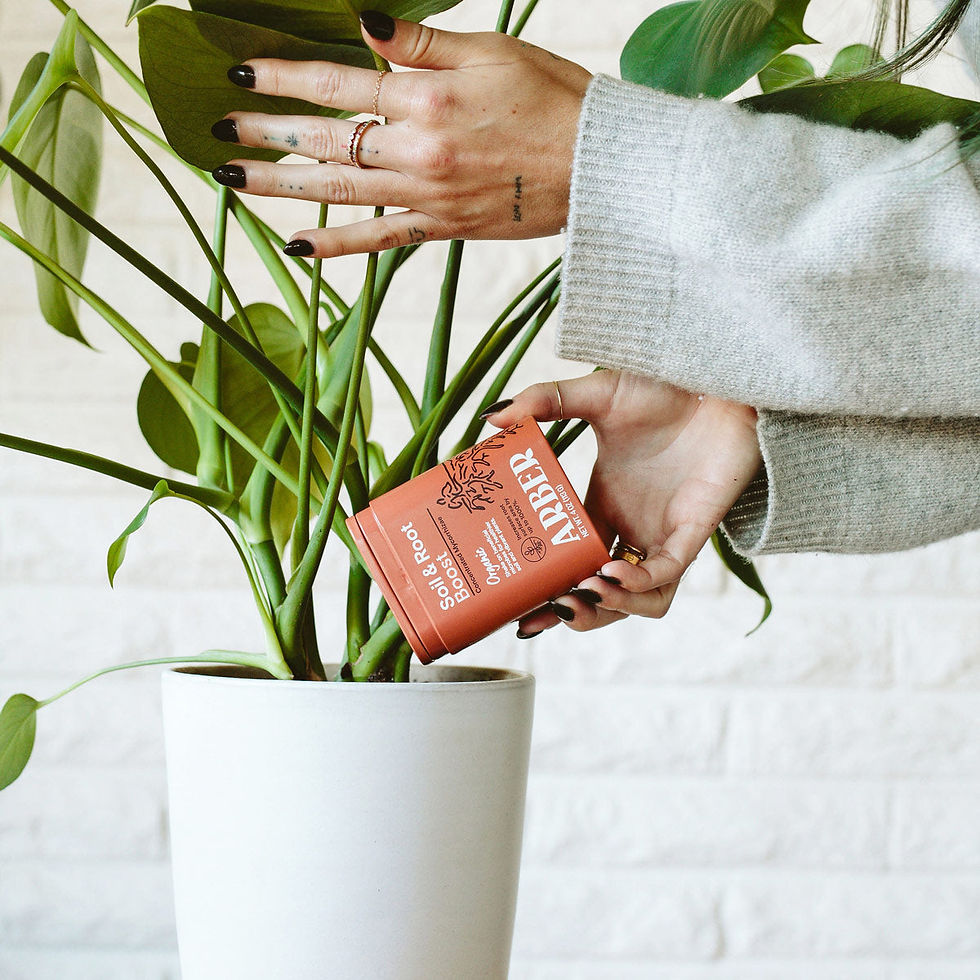 Thumbnail: Organic Soil & Root Boost