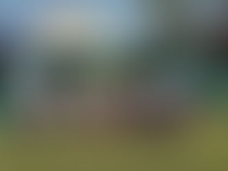 バンコク遠征について