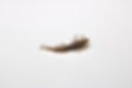 Thumbnail: Mudslide Wiggler