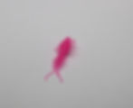 Thumbnail: Bubble Gum Wiggler 