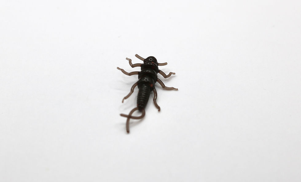 Thumbnail: OG Copper Stone Fly 