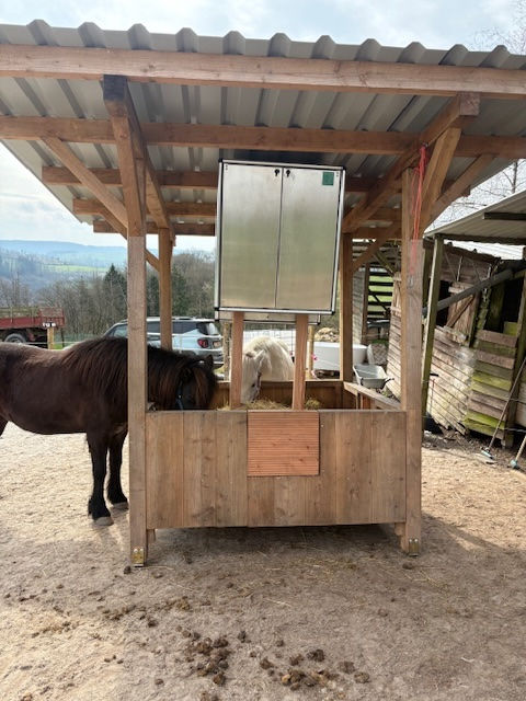 Total begeistert von den HayTimers