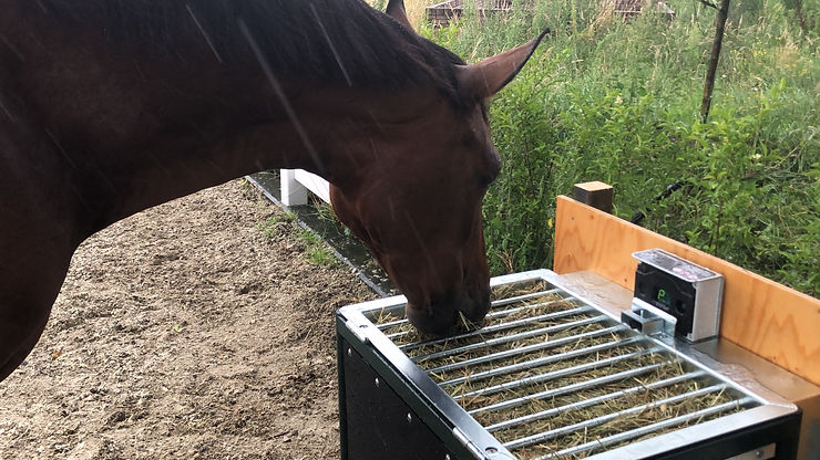 A FeedingMaster placed outdoors in order to feed horses in a paddock or track