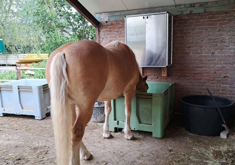 De paarden zijn ontspannen. Ik ben helemaal happy!