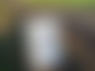 Hoofd vol? Paardencoaching voor tieners