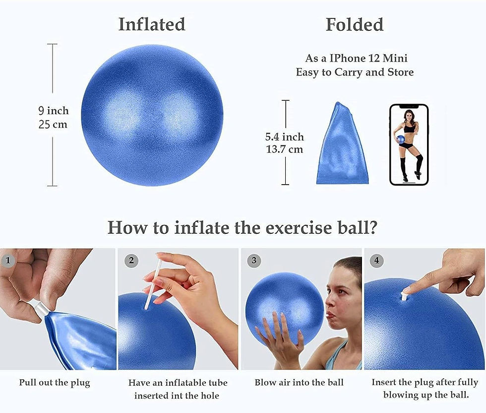 Miniature : Ballon de fitness