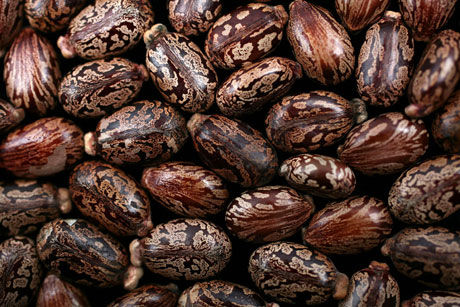Thumbnail: Huile de Ricin Bio