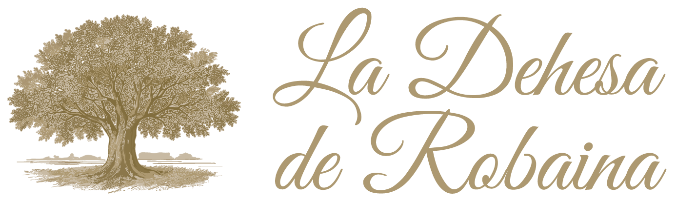 Logo web principal.png