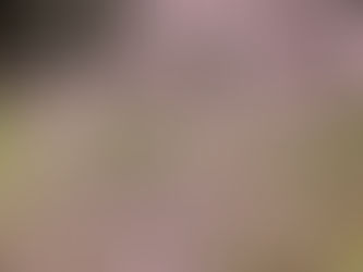 4月5日 誘客事業開始