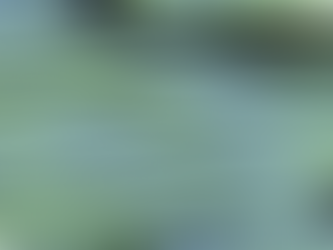 Collagen and Your Body: What to Know