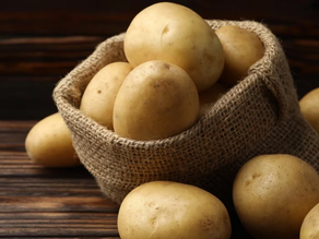 Potatoes may have given Indigenous Andeans digestive superpowers