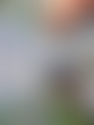 45 Practical Wood Ash Uses In The Home & Garden