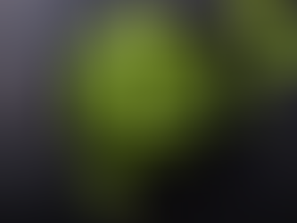 Dozens of pesticides enter the body through contaminated fruits and vegetables, study finds