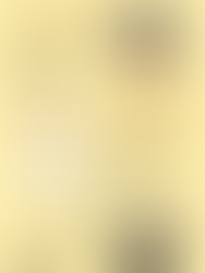 The Best Egg Laying Chickens For Your Homestead