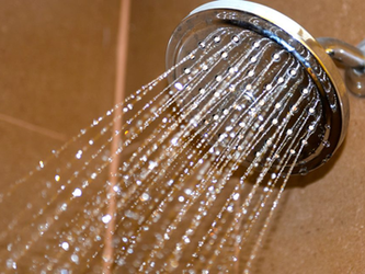 What’s causing your sinus trouble?