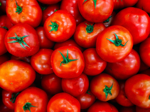Tomatoes After 50: Why This Everyday Food May Be One of the Best Choices for Healthy Aging