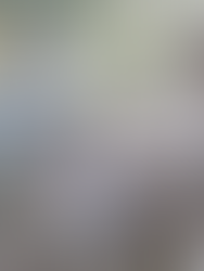 Thief Steals the Head of a Hunter's 10-Point Buck After He Walked Away to Get a Game Cart