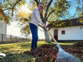 Five Fall Activities That Count As Exercise