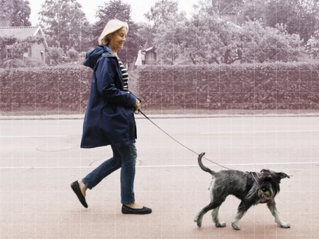 3,600 Steps per Day May Reduce Your Risk of Heart Failure by 26%, New Study Shows