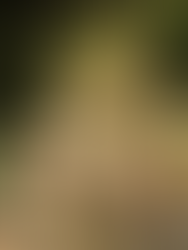 How to Build a Cinder Block Garden