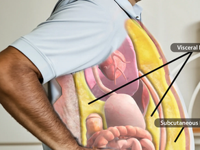 How to Lose Belly Fat