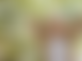 7 Things to Know About Seasonal Allergies