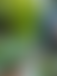 Aging and Alone: Can I REALLY Be Prepared?