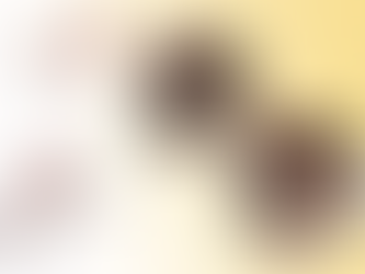 Slideshow: A Visual Guide to Prostate Cancer