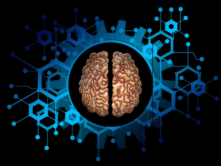 Low Magnesium Affects Your Brain?