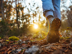 What Are the Benefits of Walking?