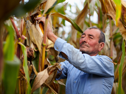 A Farmer’s Perspective After 50