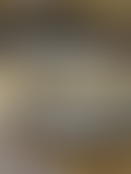 How to Identify Venomous Snakes in America