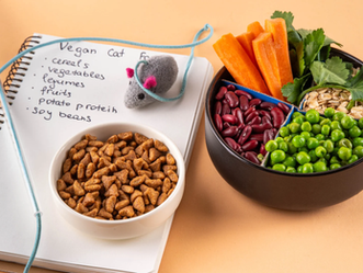 Fiber’s Big Glow-Up