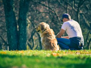 The Old-Fashioned Way: Turning Your Dog Into a True Partner When Life Gets Tough