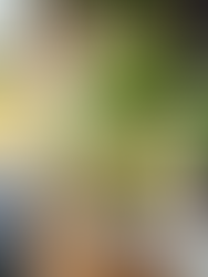 20 Vegetables You Can Re-Grow From Scraps