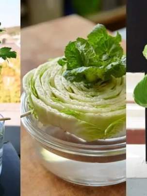 20 Vegetables You Can Re-Grow From Scraps