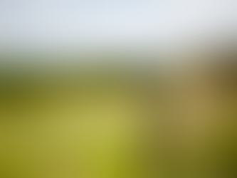 Say goodbye to fall allergies